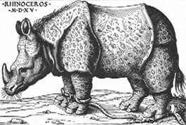 Rhinoceros from Hans Burgkmair’s book