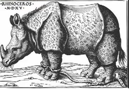 Rhinoceros from Hans Burgkmair’s book